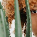 3 receitas para aprender como usar babosa no cabelo