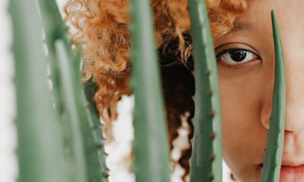 3 receitas para aprender como usar babosa no cabelo