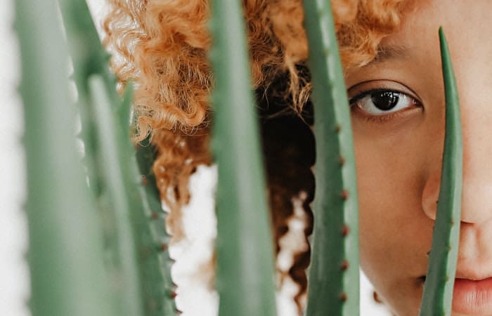 3 receitas para aprender como usar babosa no cabelo